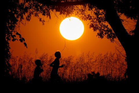 US life expectancy hit an all-time high in 2024, CDC says