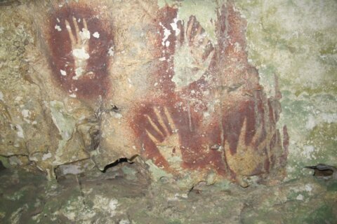 Indonesian handprints are the oldest cave art found yet
