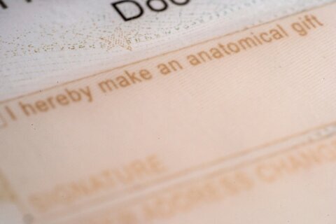 Public mistrust linked to drop in deceased donor organ donations and kidney transplants