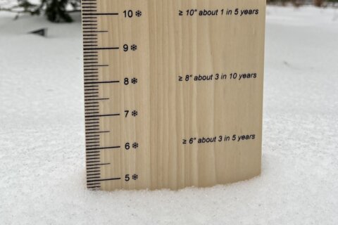 Which places in the DC region got the most snow?