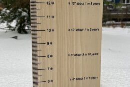 Snow gauge stuck in snow that reads 5 inches of accumulation