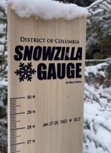 A snow gauge in the snow
