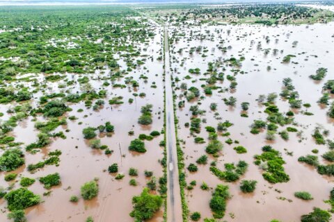 Climate change worsened rains and floods which killed dozens in southern Africa, study shows