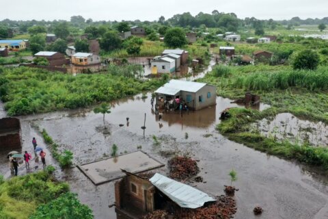 Floods push crocodiles into Mozambican towns as health concerns rise
