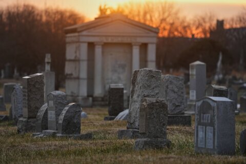 100 skulls and mummified body parts found in a Pennsylvania grave robbery case, police say