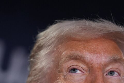 Stock market cuts through to Trump on Greenland in a way allies’ messages failed to resonate