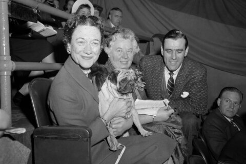The Westminster dog show is turning 150. Here’s what has — and hasn’t — changed over time