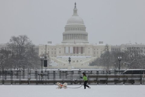 ¿Cuándo empezará a nevar en Washington D.C. y cuánta nieve caerá?