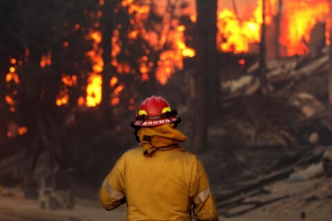 Entre las cenizas y la esperanza: especial de los incendios Eaton y Palisades a casi un año