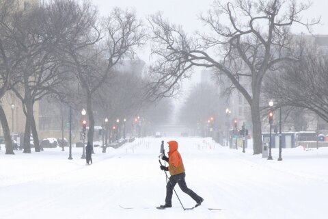 Mapa interactivo: ¿Cuánta nieve ha caído en tu zona?