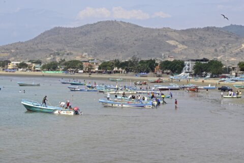Cinco cabezas colgadas y un mensaje de advertencia: sangriento hallazgo en una playa turística