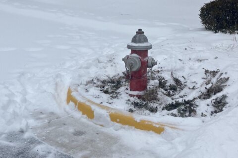 A hydrant cleared in Fairfax County, Virginia, after the recent snow storm as part of the Adopt a Hydrant program. (Courtesy Fairfax County Fire and Rescue)