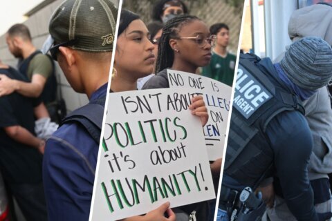 Operativos migratorios: ¿Qué derechos tienen los detenidos, testigos y manifestantes en EEUU?