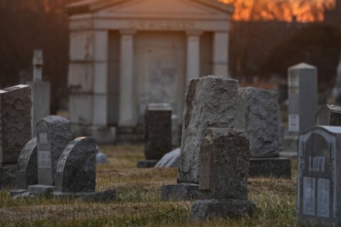 Cráneos, torsos y pies momificados: lo acusan de robar restos humanos de más de 20 tumbas