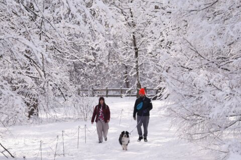 Siguen el frío y las nevadas en partes de Estados Unidos