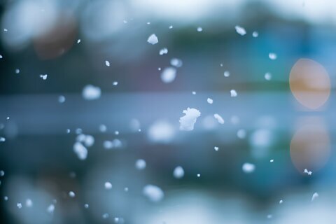 Reportan copos de nieve en algunas partes de Florida