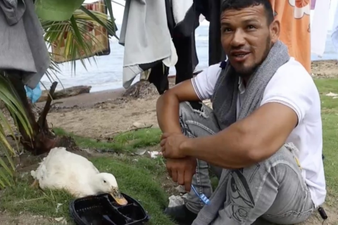 La increíble historia de Filomena, la pata que acompaña a un migrante en su regreso de a pie a Venezuela