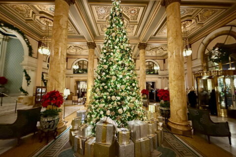 When is it time to take down holiday decorations? DC locals and tourists weigh in.