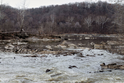 Massive sewage spill into Potomac River: What’s in the water, and will risk rise as ice melts?