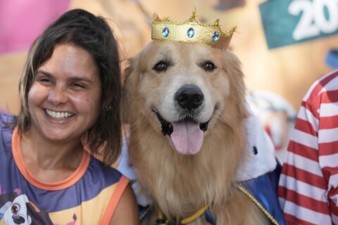 Dogs parade at Rio Carnival as their owners protest against animal cruelty