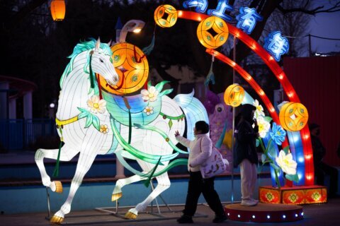 Photos of Lunar New Year celebrations for the Year of the Horse
