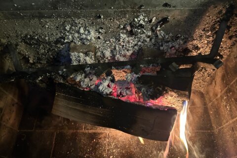 Record cold has fireplaces working overtime. Should those ashes be put to use in the garden?