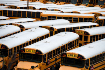 Lot of yellow school buses.