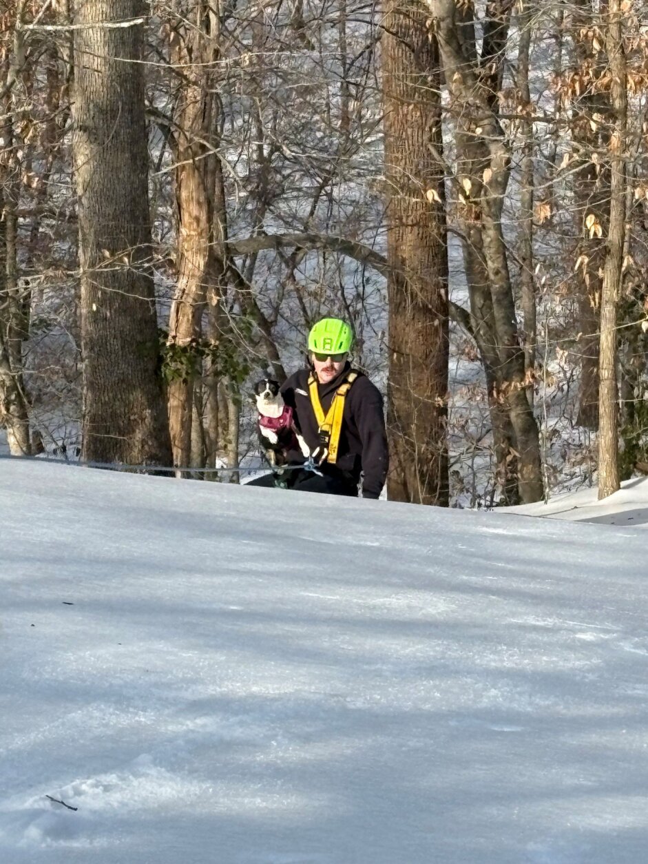 Dog rescued from ice-covered hill