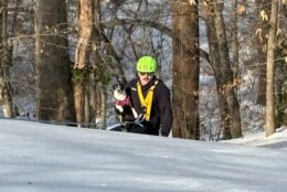 Dog rescued from ice-covered hill