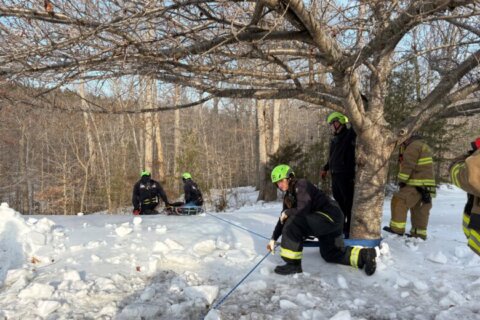 Man and his dog rescued after sliding down ice-covered hill in Prince William Co.