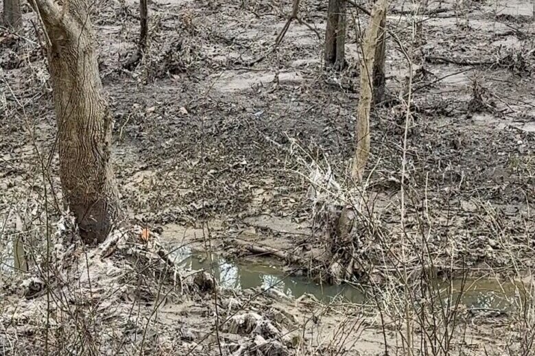 DC Water looks toward long-term cleanup of C&O Canal, Potomac River