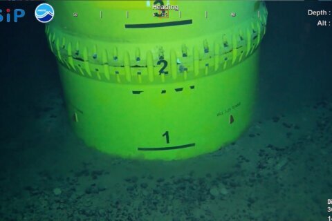 Japan retrieves rare earth-rich mud from seabed to lower reliance on China