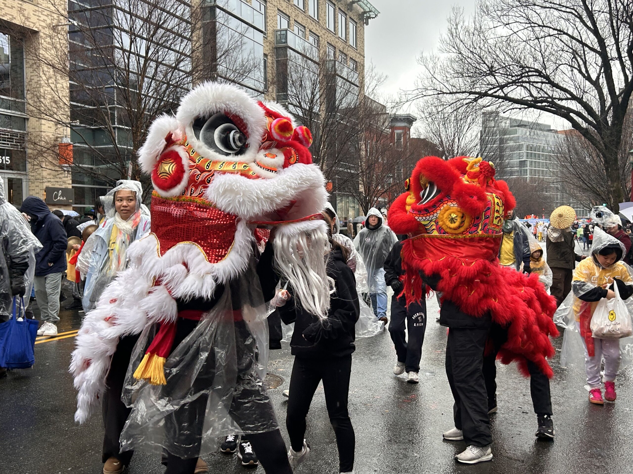 DC residents celebrate Lunar New Year with parade through Chinatown