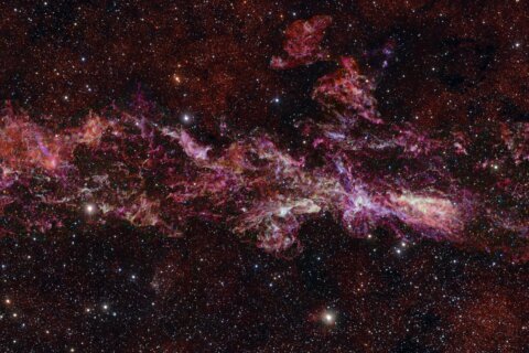 Swirling beauty of the Milky Way galaxy’s heart is captured in a new telescope picture