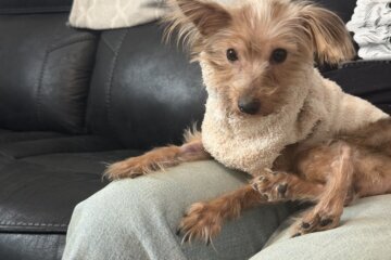 Meet Apple, who was rescued from a D.C. trash chute.