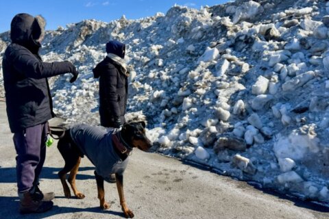 ‘That’s crazy’: Glacier of snow and ice built at RFK parking lot 