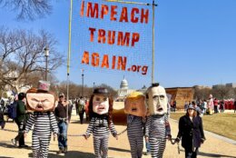 Protestors on National Mall