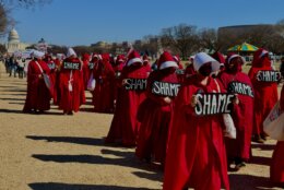 Handmaid's Tale protestors
