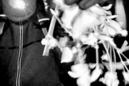 Savannah Guthrie Mom Missing