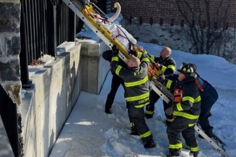 Firefighters rescue swan stuck in frozen Connecticut river
