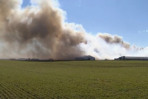 Fire at an Ohio farm complex kills about 6,000 hogs and smoke is visible for miles