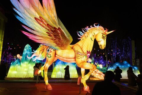 Inicia el Año Lunar Chino; ¿qué simboliza el caballo de fuego?