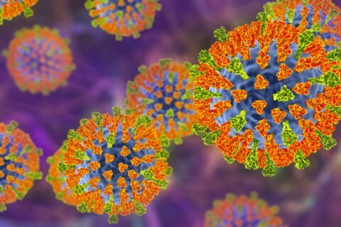 Octavo caso de sarampión en Virginia: aquí los lugares y fechas de posible exposición