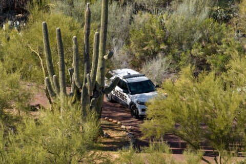 Guante cerca de casa de Nancy Guthrie parece coincidir con el del sospechoso
