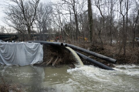Alcaldesa de DC declara estado de emergencia por derrame de aguas residuales en el Potomac