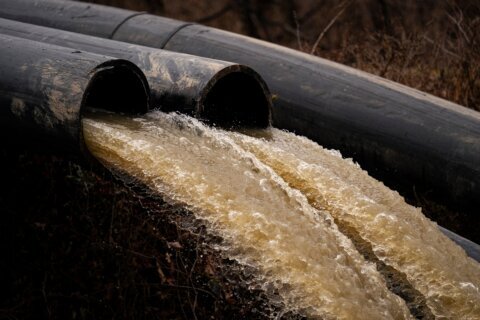 DC suspende recomendación que prohibía actividades recreativas con el río Potomac