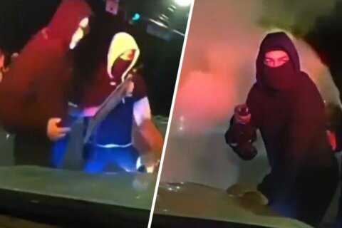 Video: miembros de carreras ilegales vandalizan patrulla en Chevy Chase