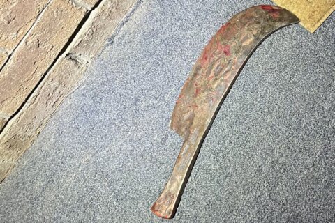 Man killed by police after ‘butchering his family’ in Fairfax Co. identified