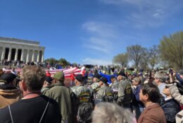 Vietnam War veterans celebration