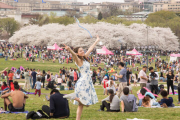 The National Cherry Blossom Festival hosts its annual Blossom Kite Festival on the grounds of the Washington Monument. 
